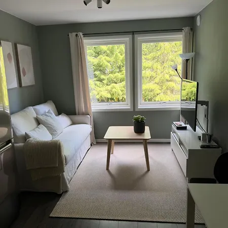Near Gardermoen And Downtown With Parking And View Over The Creek In The Garden Appartement *